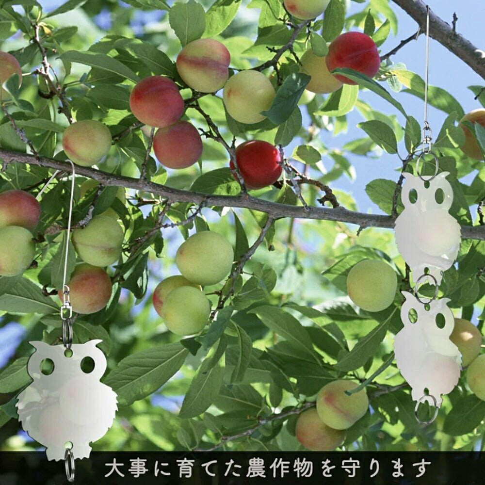 虫よけ 鳥よけ | フクロウ型反射板鳥よけセット - ベランダ・畑用
