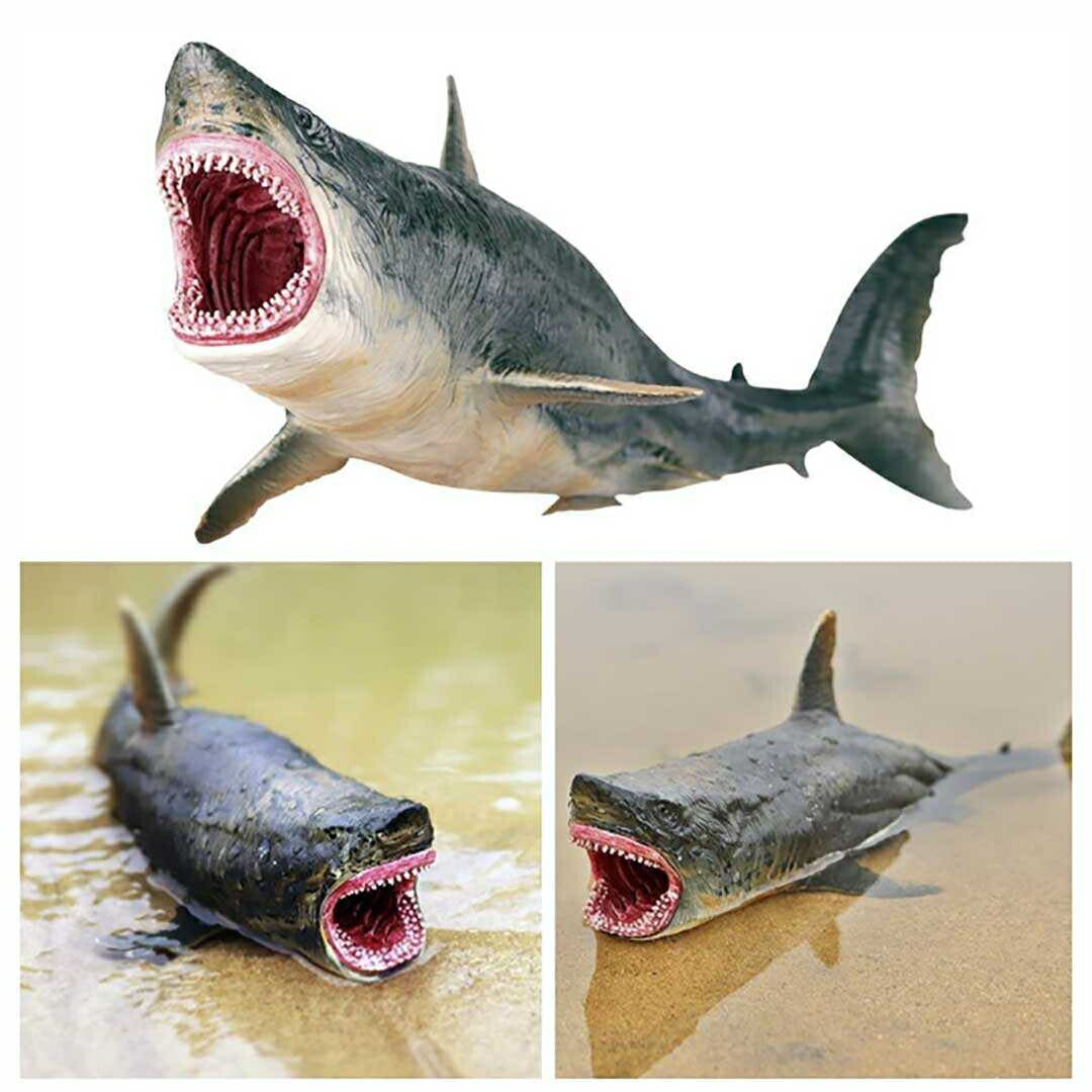 子供 おもちゃ | メガロドン模型 - 子供向け誕生日・クリスマスプレゼント