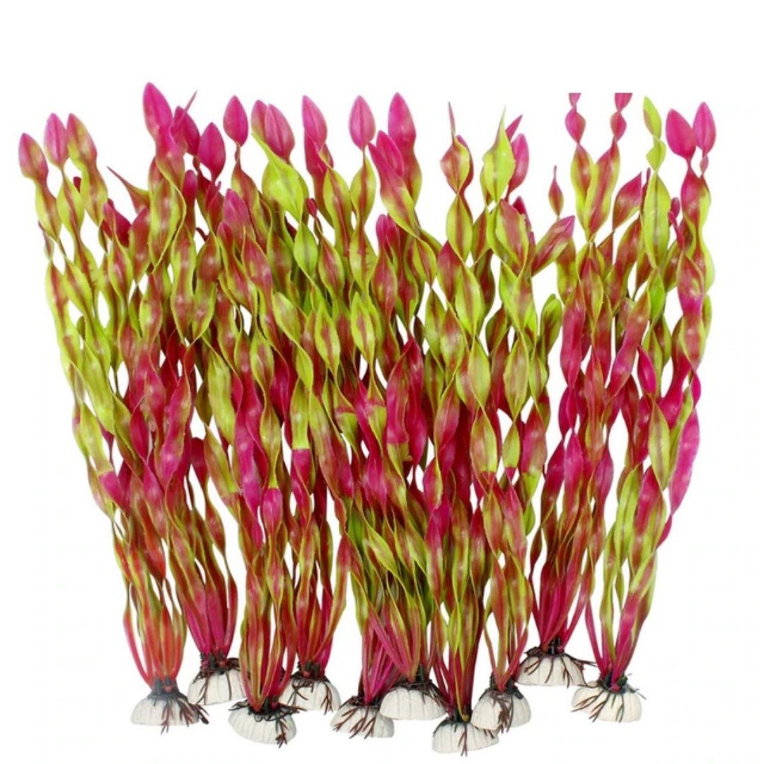 ペットグッズ | 特大サイズ海藻オブジェ5本セット - アクアリウム用インテリア