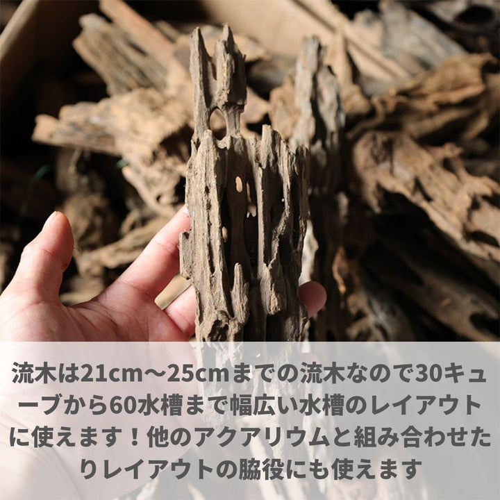 メダカ | アクアリウム用流木3個セット - 穴あき小魚シェルター
