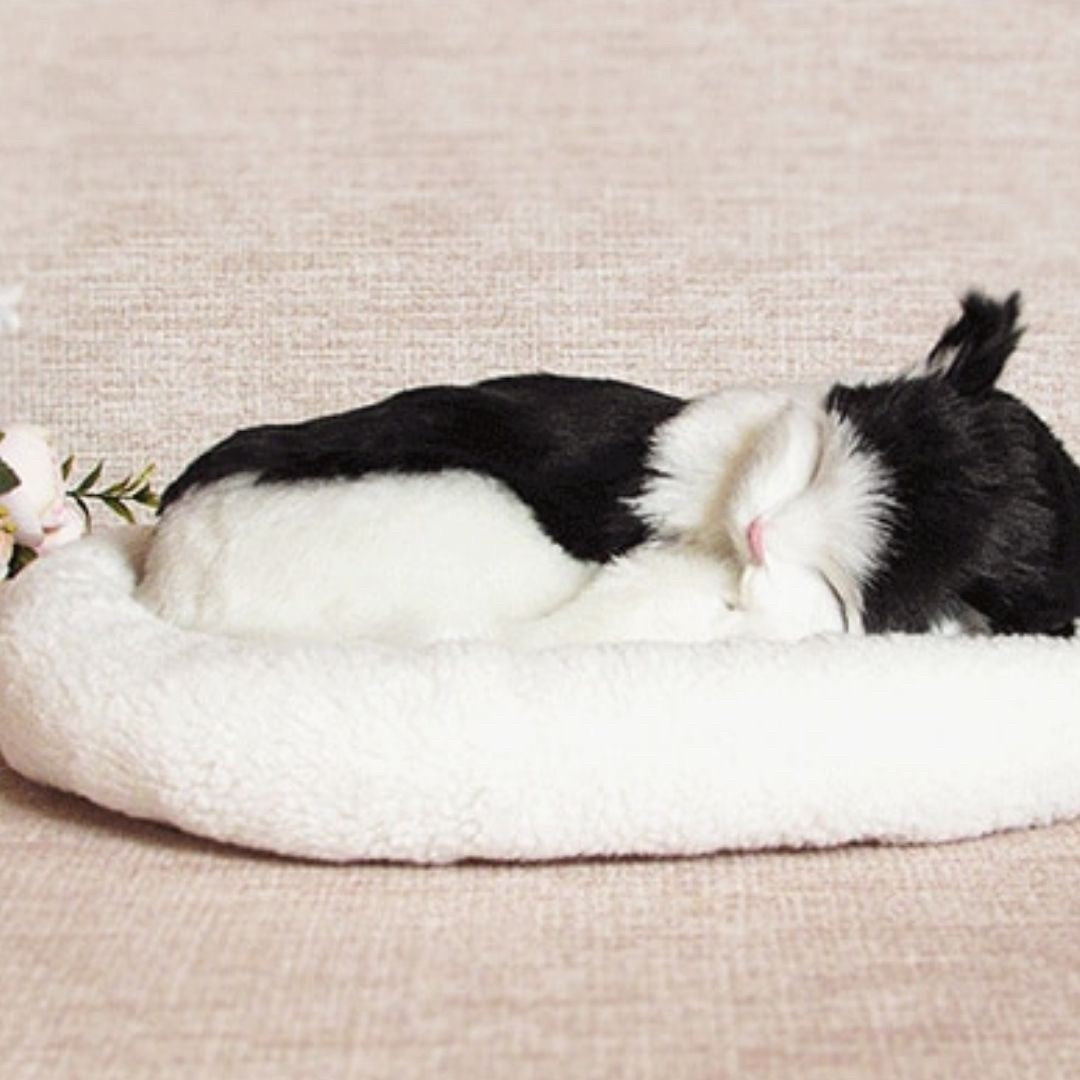 玩具 | かわいい猫の抱き枕 3色カラー - ギフトにぴったり