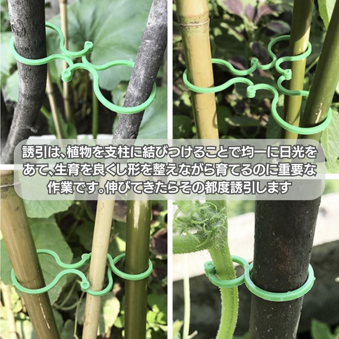 アウトドア用品 その他 | ガーデン支柱ホルダー50ペアセット - 家庭菜園・園芸用