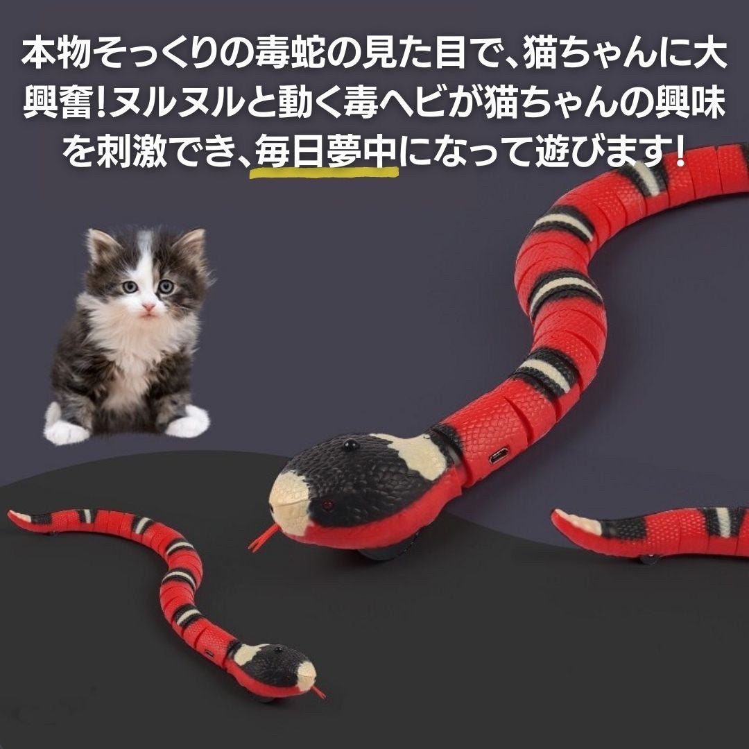 ペットグッズ | 電動サンゴヘビ型猫用おもちゃ - USB充電式