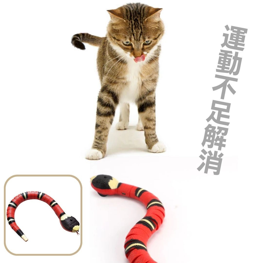 ペットグッズ | 電動サンゴヘビ型猫用おもちゃ - USB充電式