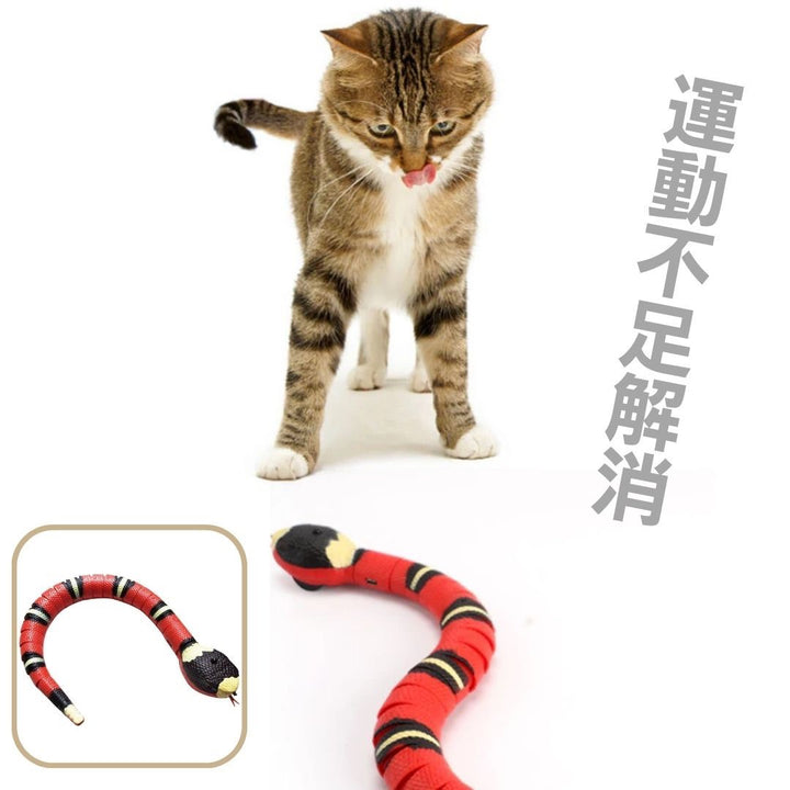 ペットグッズ | 電動サンゴヘビ型猫用おもちゃ - USB充電式