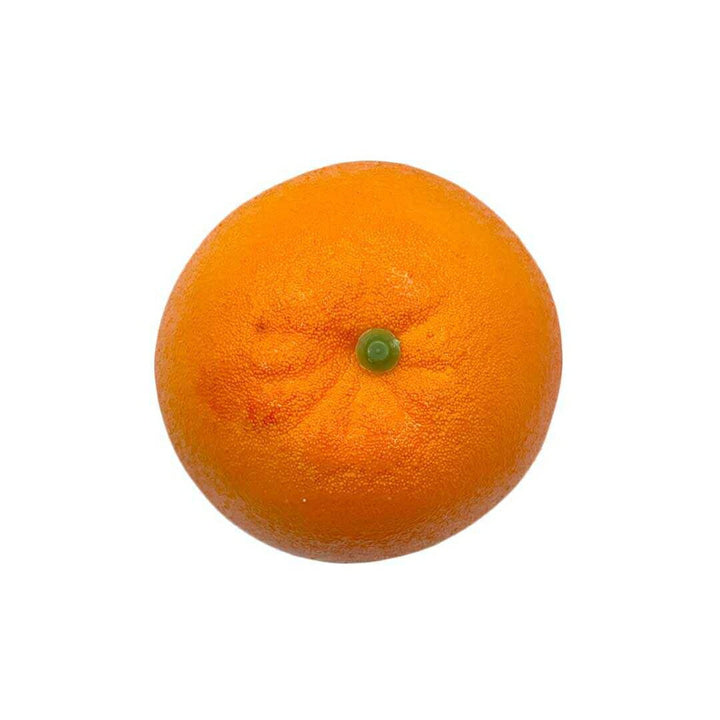 インテリア オブジェ | フルーツ食品サンプル 11種類 ディスプレイ用