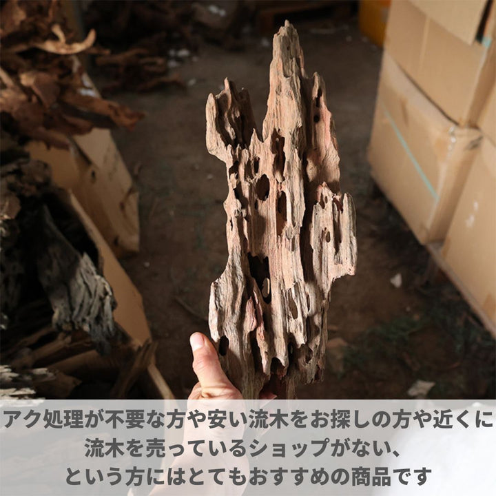 メダカ | アクアリウム用流木3個セット - 穴あき小魚シェルター