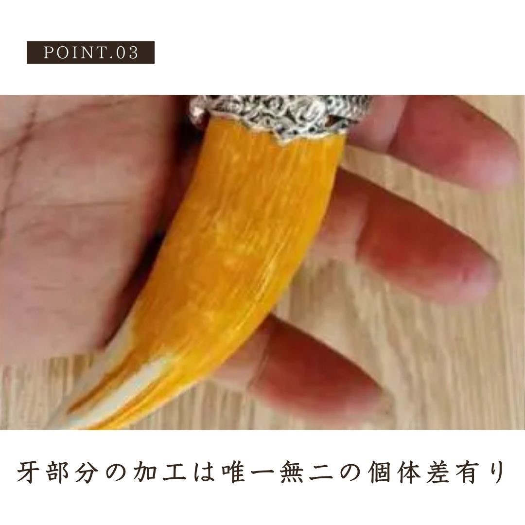 ネックレス | 龍の牙ネックレストップ | メンズ・レディースアクセサリー