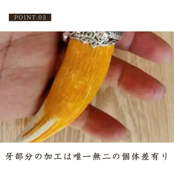 ネックレス | 龍の牙ネックレストップ | メンズ・レディースアクセサリー