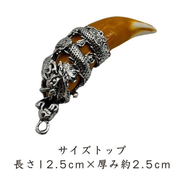 ネックレス | 龍の牙ネックレストップ | メンズ・レディースアクセサリー
