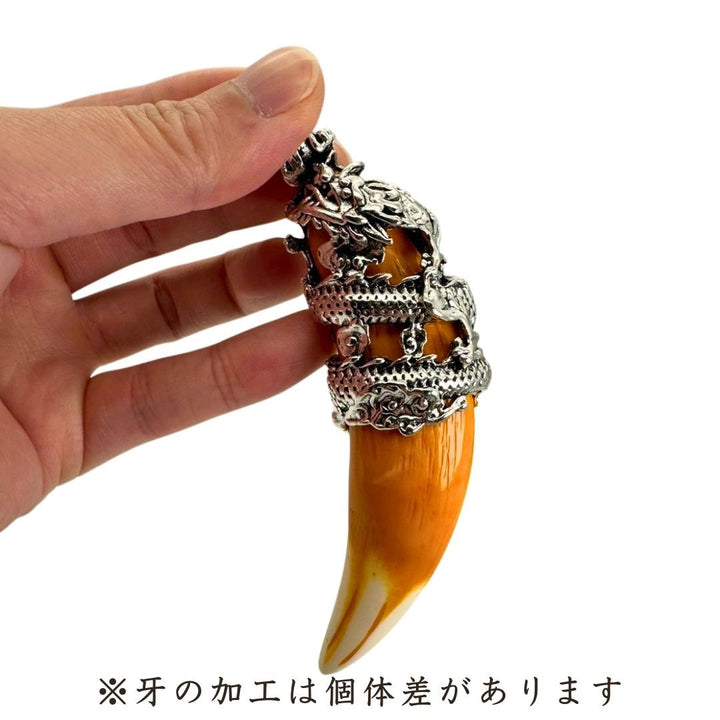 ネックレス | 龍の牙ネックレストップ | メンズ・レディースアクセサリー