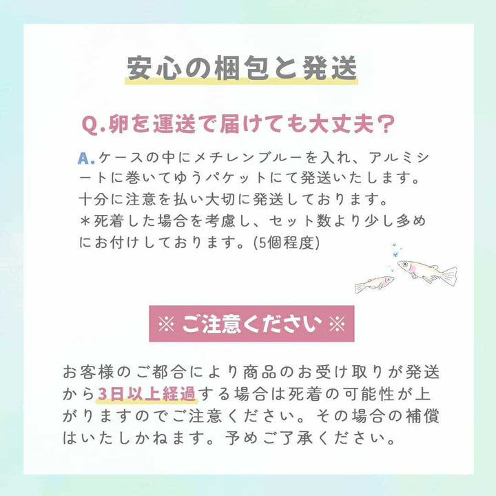 メダカ | メダカ卵ミックスセット50個+おまけ付き - アクアリウム用安心飼育キット