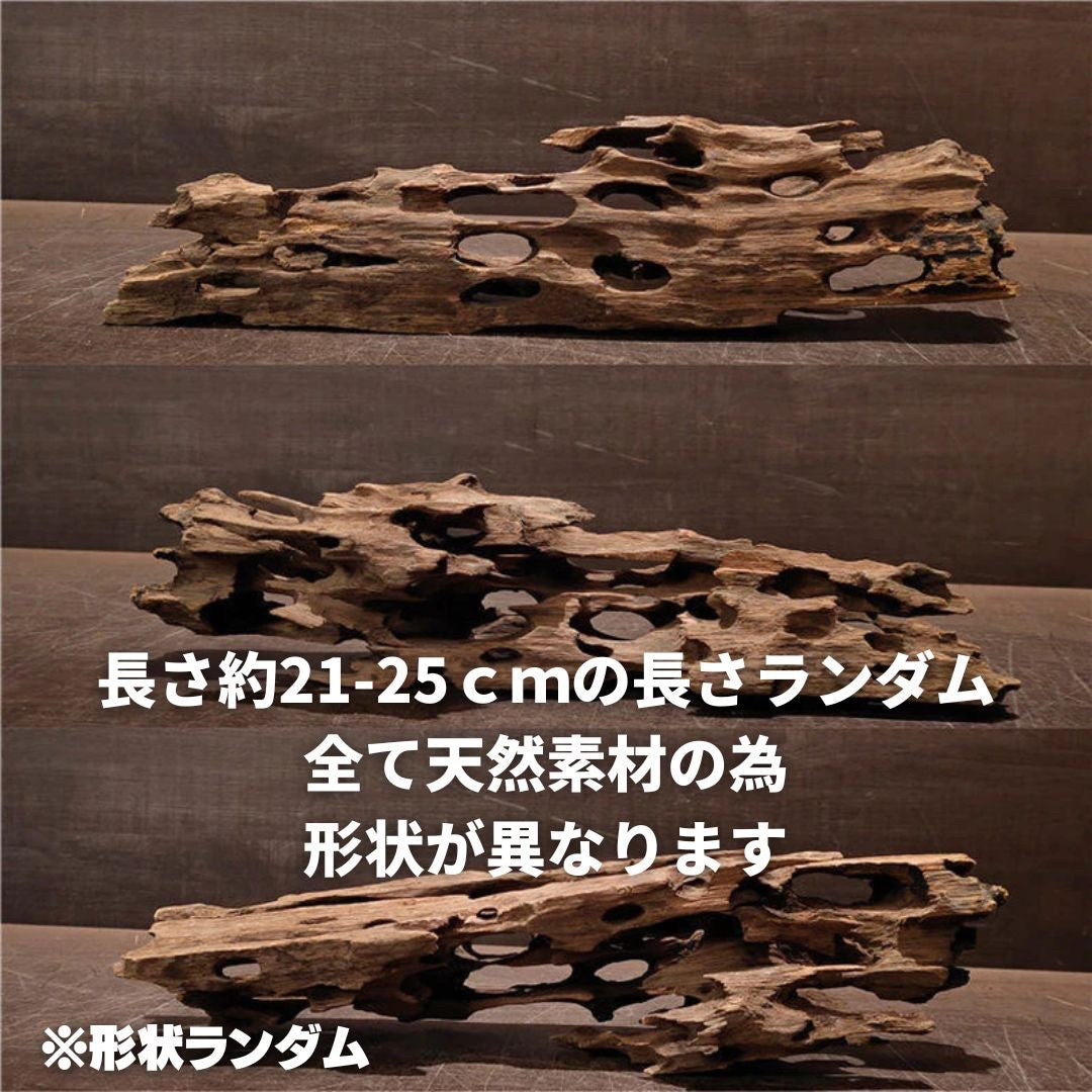 メダカ | アクアリウム用流木3個セット - 穴あき小魚シェルター