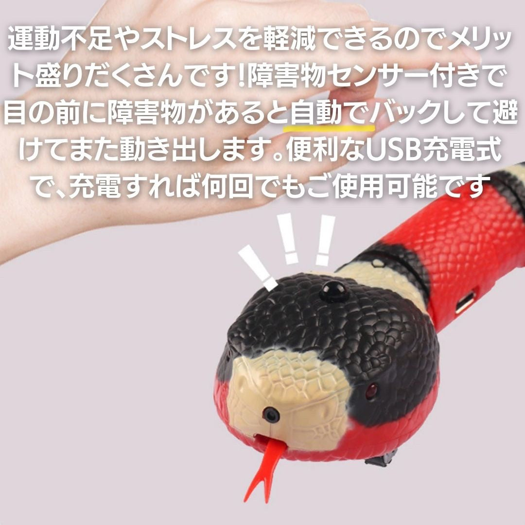 ペットグッズ | 電動サンゴヘビ型猫用おもちゃ - USB充電式