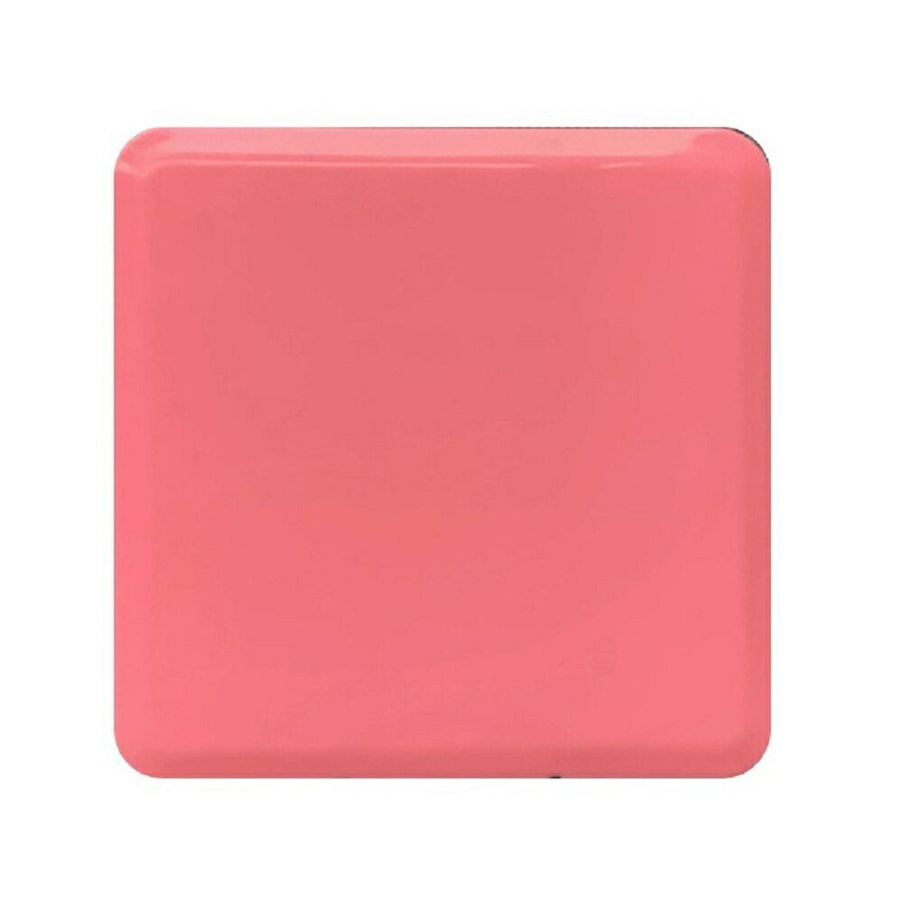 マスク | 抗菌・制菌マスクケース【選べる5色】コンパクト携帯用