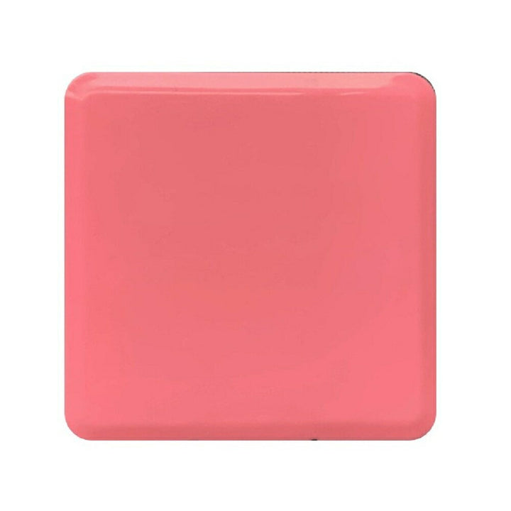 マスク | 抗菌・制菌マスクケース【選べる5色】コンパクト携帯用