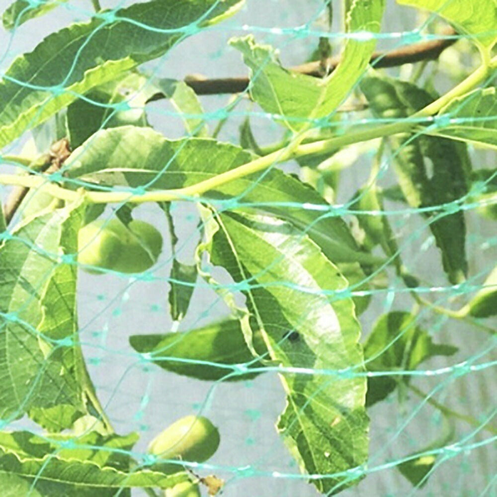 虫よけ 鳥よけ | グリーン防鳥ネット4m×10m - 家庭菜園・畑用