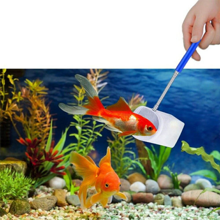 ペットグッズ | 水槽お手入れセット スポイト・ピンセット・網付き