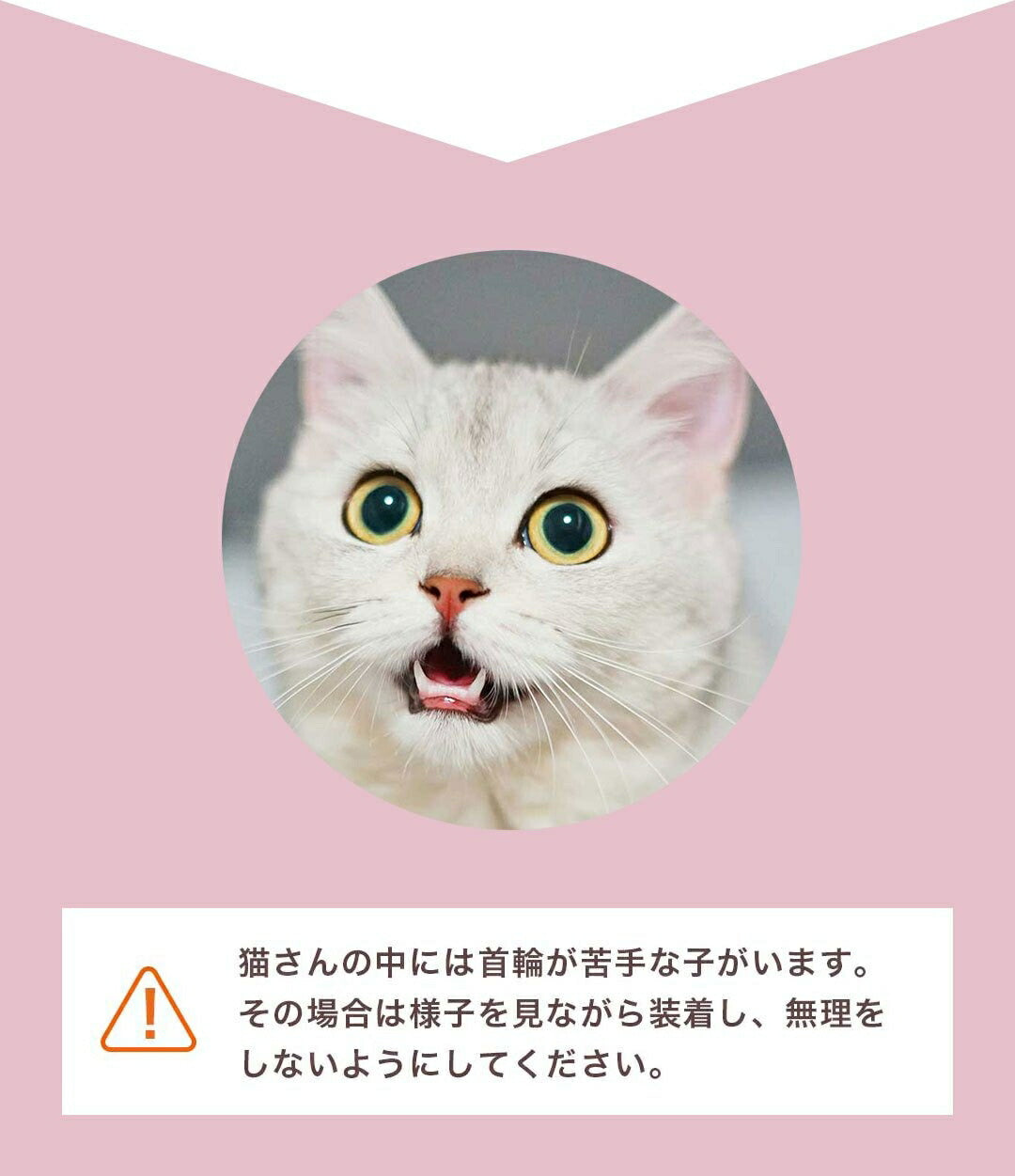 ペットグッズ | シンプルベロア首輪 - 猫・小型犬用、鈴付き、全4カラー