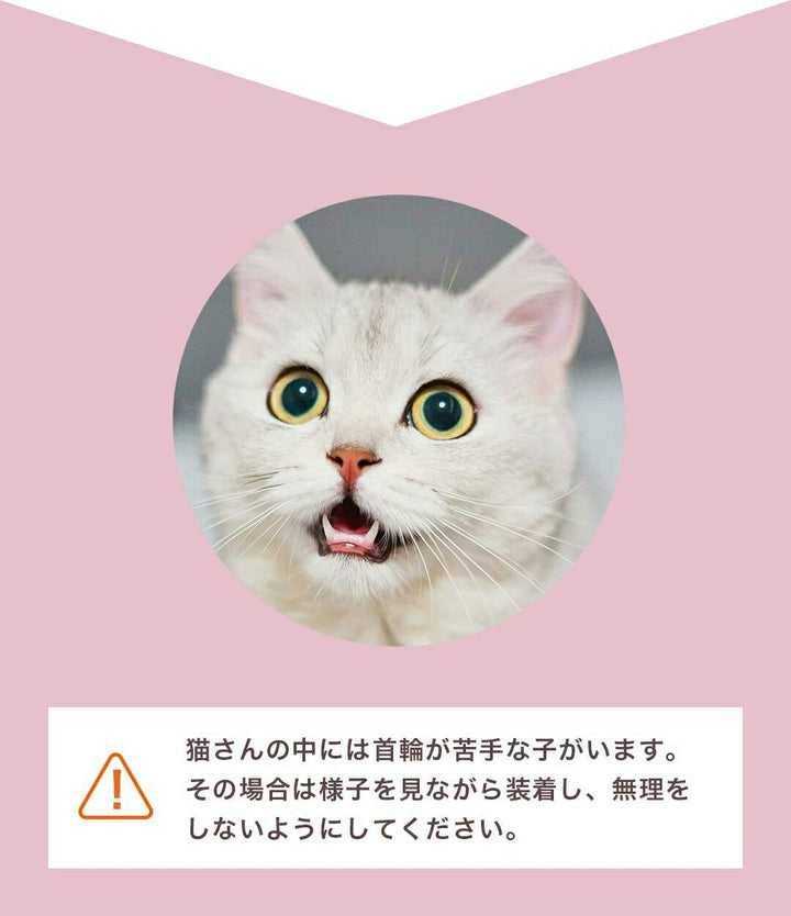 ペットグッズ | シンプルベロア首輪 - 猫・小型犬用、鈴付き、全4カラー