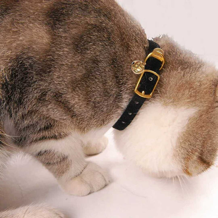 ペットグッズ | シンプルベロア首輪 - 猫・小型犬用、鈴付き、全4カラー