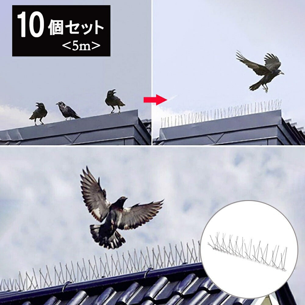 虫よけ 鳥よけ | 防鳥スパイク10個セット - 害獣・ハト対策、長さ調整可能