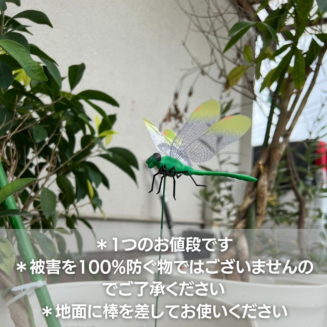 虫よけ 鳥よけ | 特大虫よけトンボ：選べる4カラー、室内外対応、安全無毒