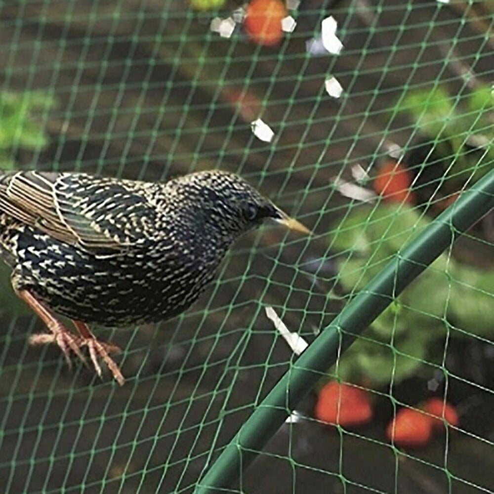 虫よけ 鳥よけ | グリーン防鳥ネット4m×10m - 家庭菜園・畑用