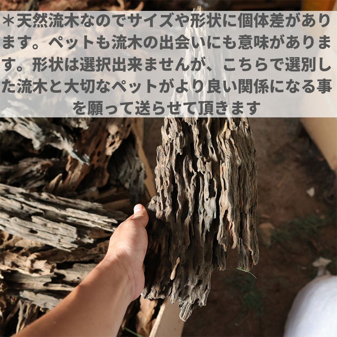 メダカ | アクアリウム用流木3個セット - 穴あき小魚シェルター