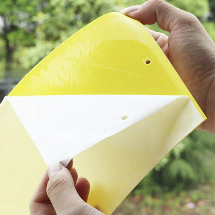 虫よけ 鳥よけ | 強力虫よけ粘着シート10枚セット 室内外対応